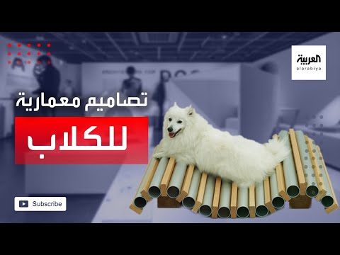 شاهد مشاهير العمارة يصممون بيوتا للكلاب في لندن